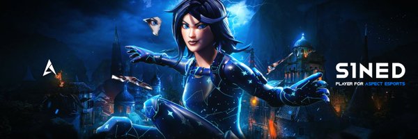 S1neDfnn Profile Banner