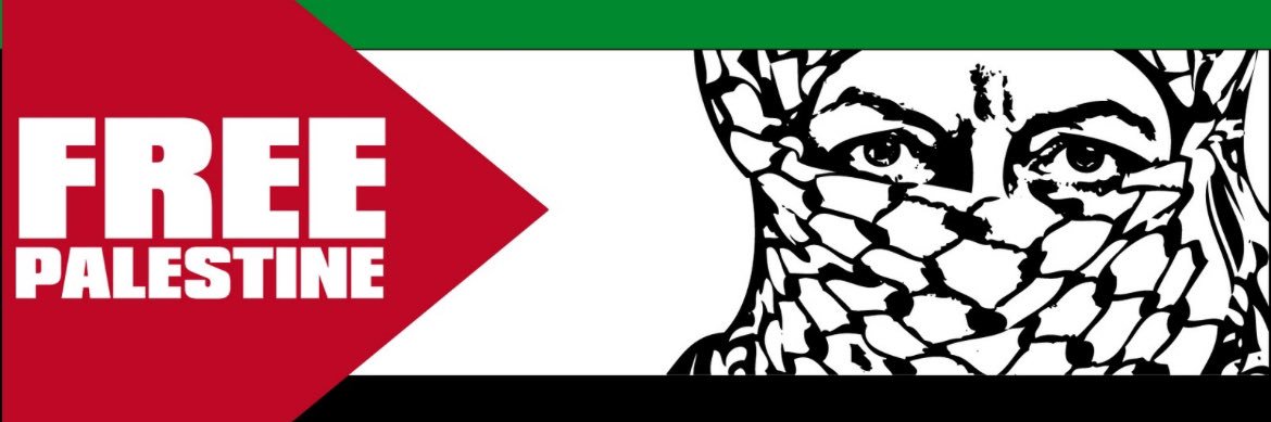 Simone Kolysh, MPH, PhD banner