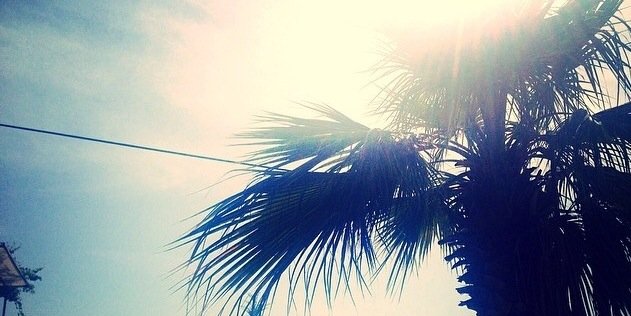 palomaparis's profile banner image