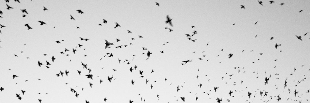 chdugue's profile banner image