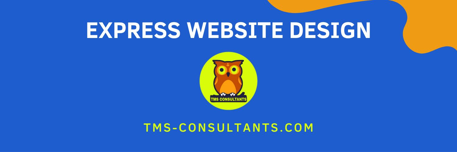 TMS Consultants banner