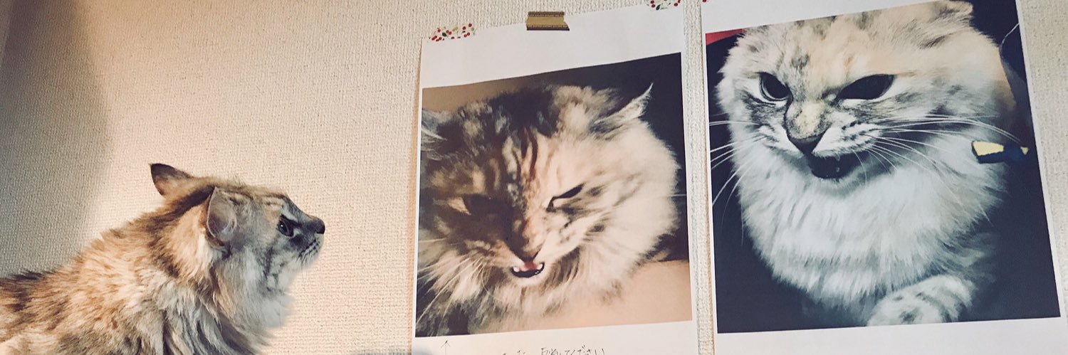 乙川 灯🐈‍⬛黒根さん②巻発売中's banner