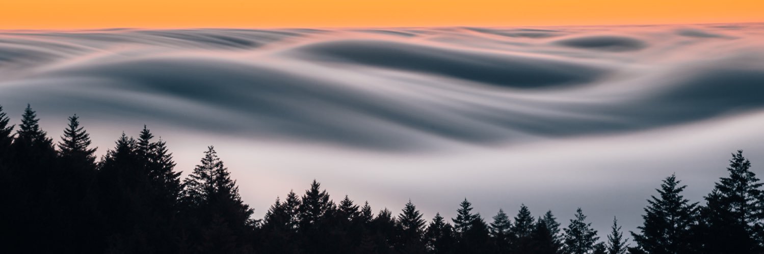 Nicole Zelkowitz banner