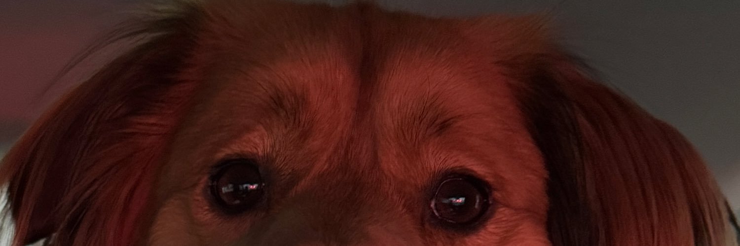 뜨쥬 툔툐기 크오이 banner