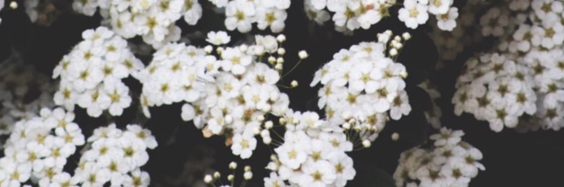 samarasams's profile banner image