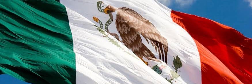 Sergio Salomón's banner