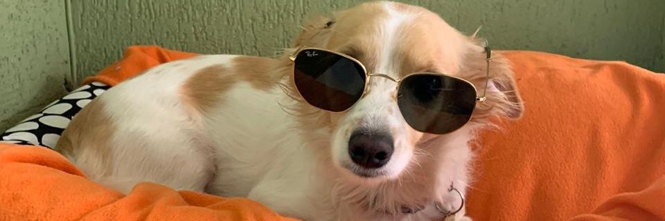 marinsmt's profile banner image