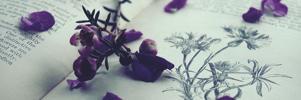evansgoethe Profile Banner