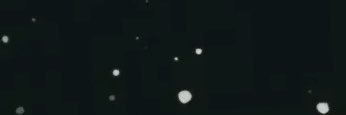 brakxs's profile banner image