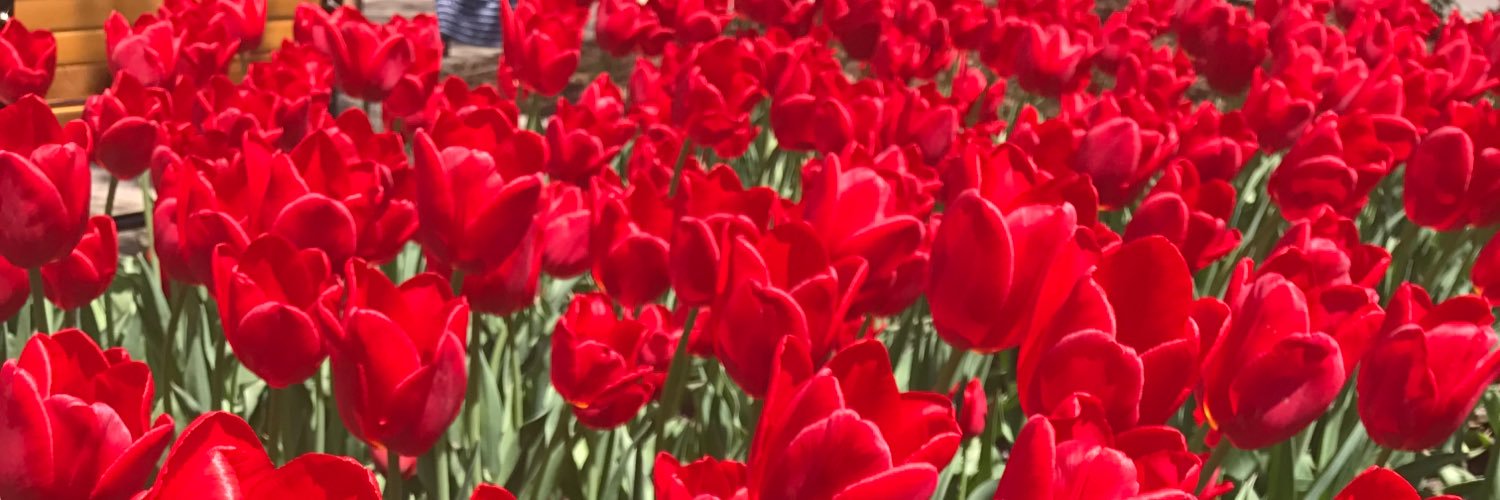 jlanphear78's profile banner image