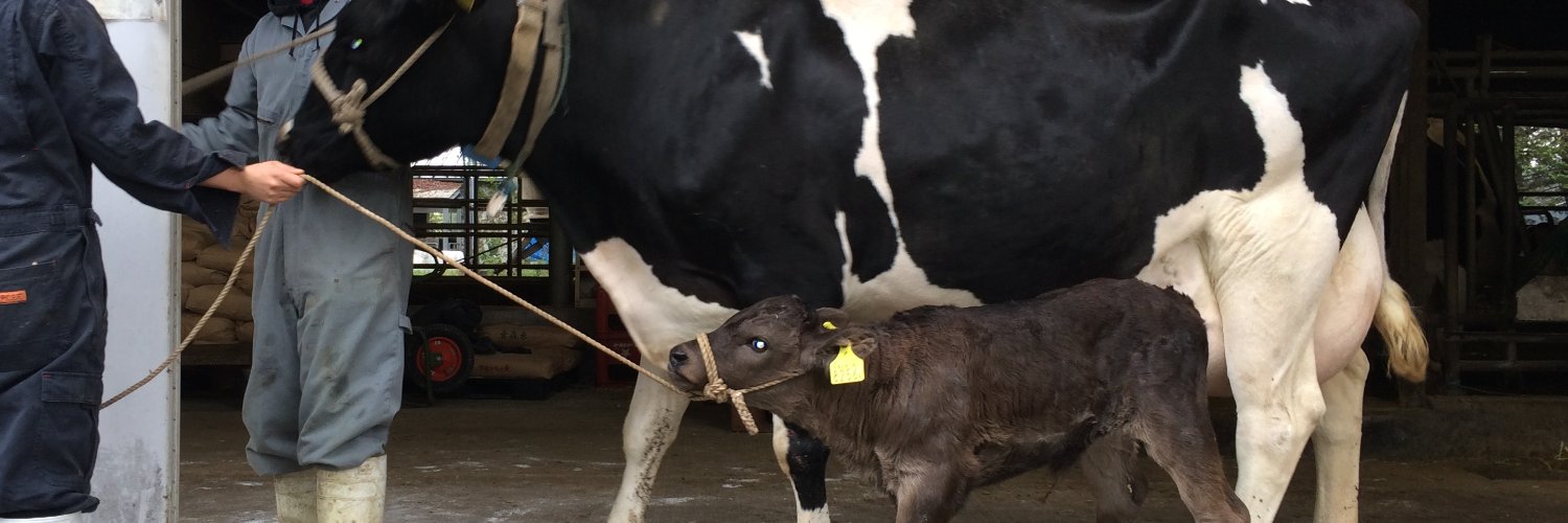 Satoshi Sugimura Lab banner