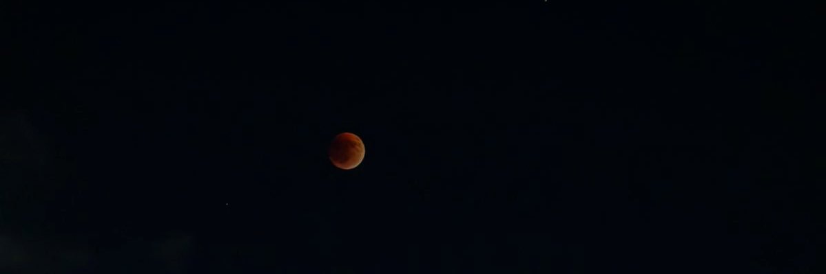user100200100's profile banner image