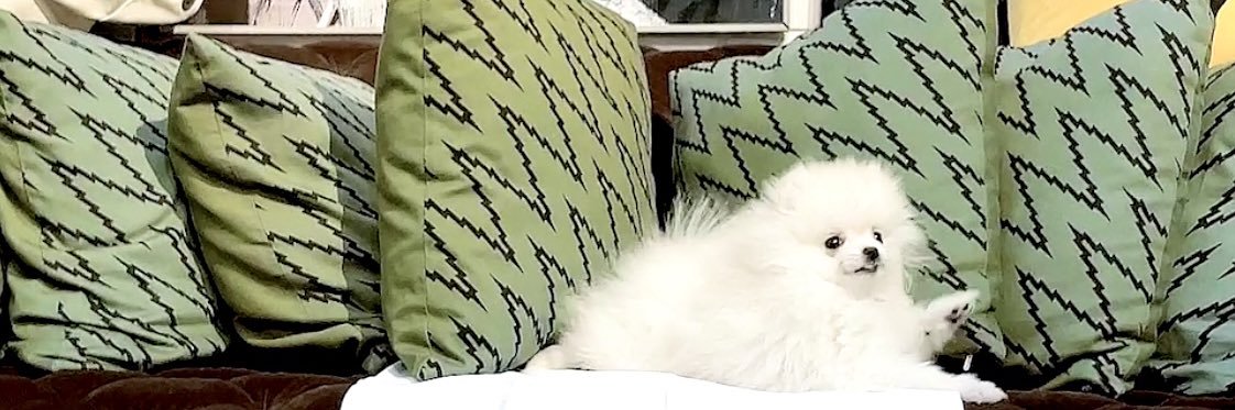 pomenii_'s profile banner image