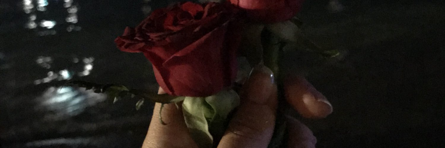 Mrveyzer's profile banner image