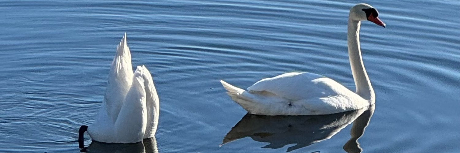 so_weird_guy's profile banner image