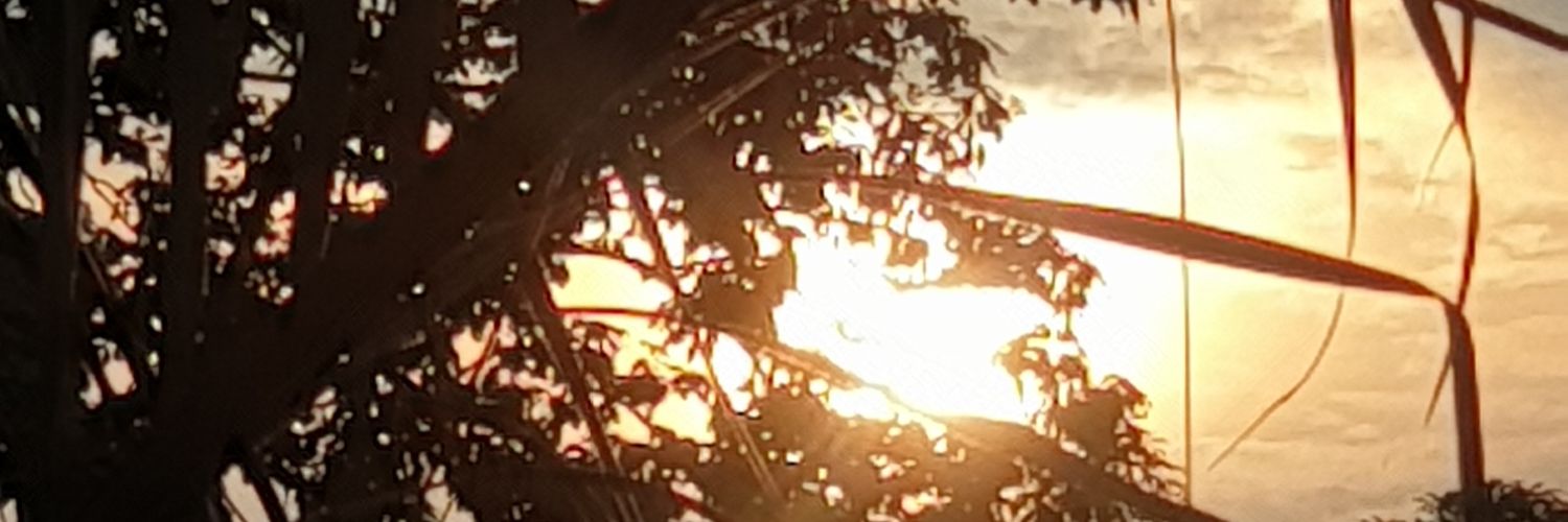Ghostlybutnot's profile banner image