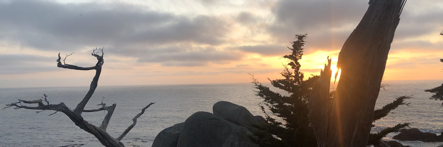 Whitaker Trebella 🎹 banner