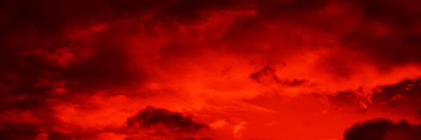 nicole_fgm's profile banner image