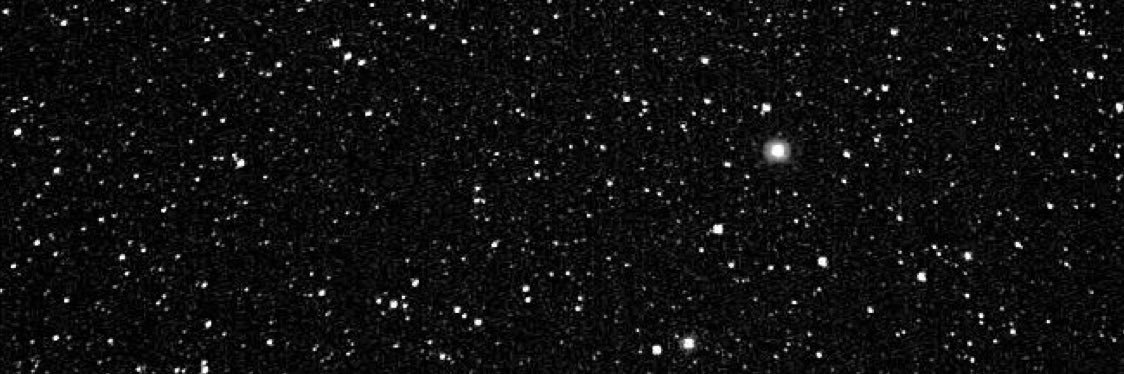 leticiavasq's profile banner image