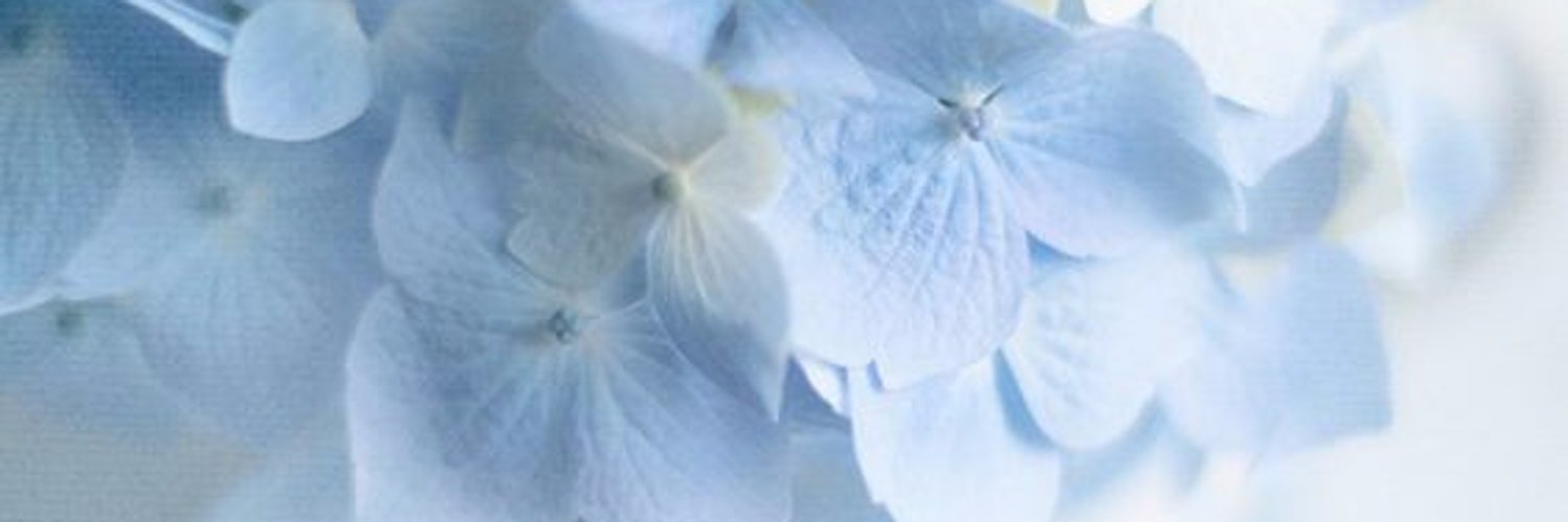 theimabong's profile banner image