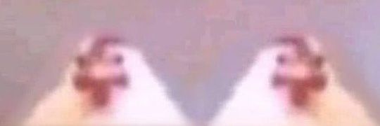 6Clownoz's profile banner image