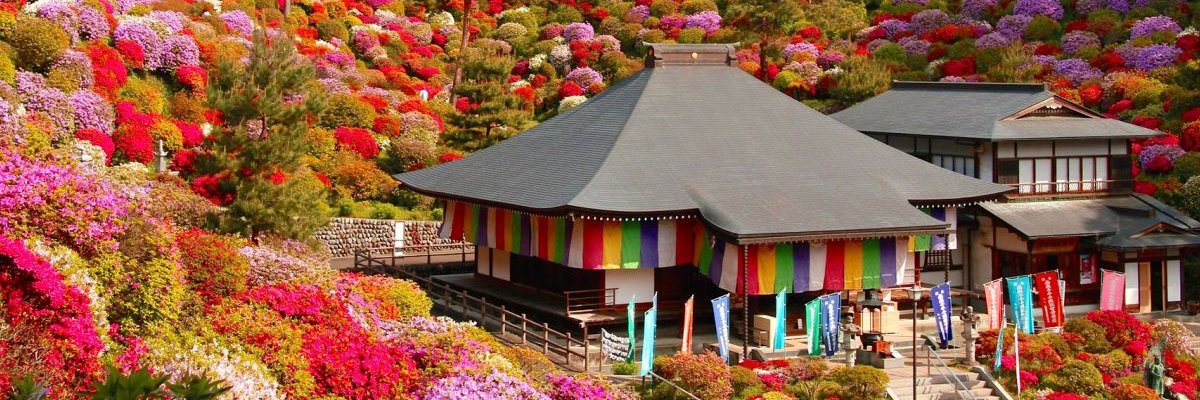 Kryppon | Looking for NFT moots banner