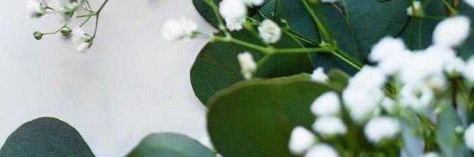 eisa_abdullahh's profile banner image