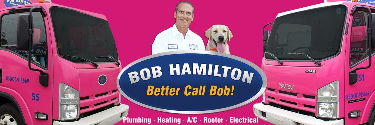 BobHamiltonPLB's profile banner image