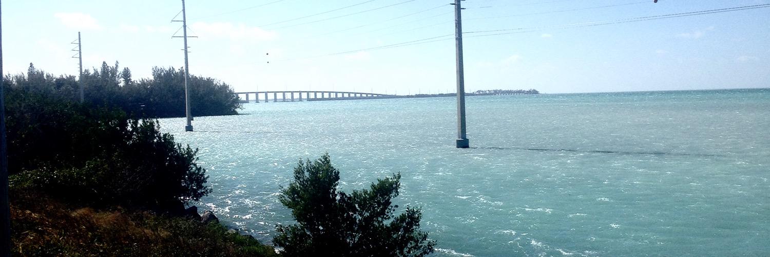 harold martinez p banner