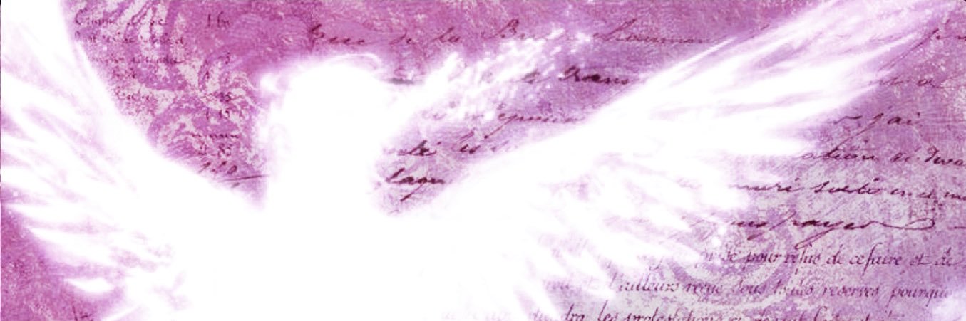 coli ❀ susie supporter's banner