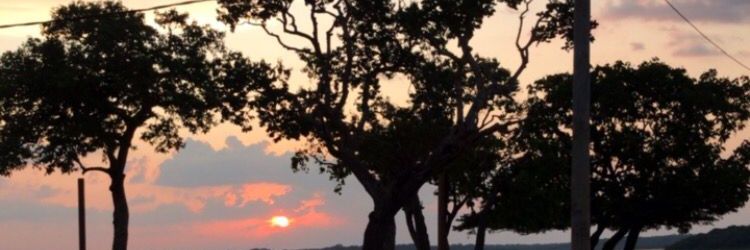 HannaRodriigues's profile banner image