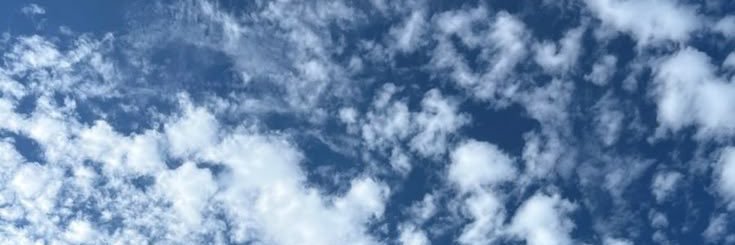 samira8350's profile banner image