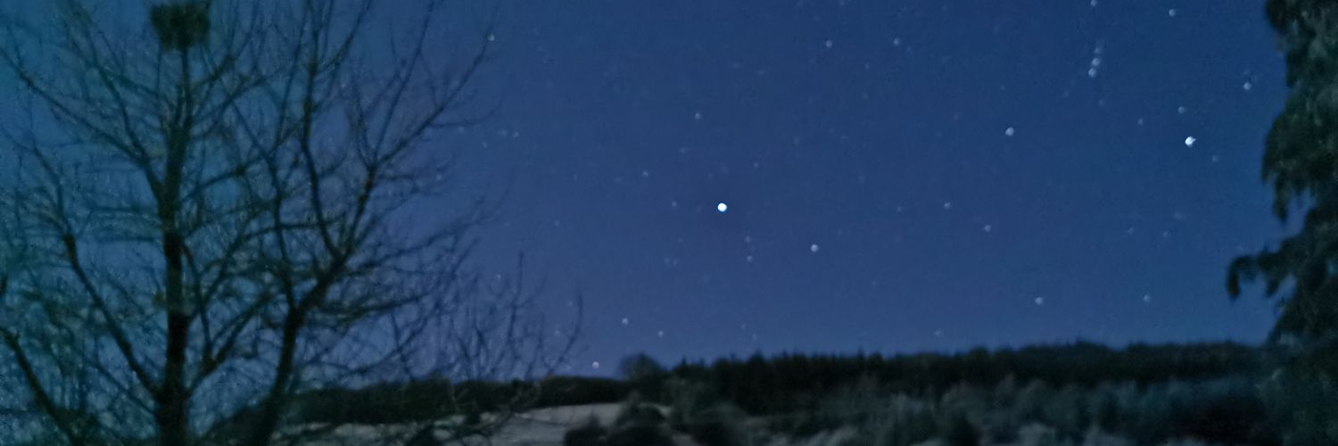 Catherine Conway banner