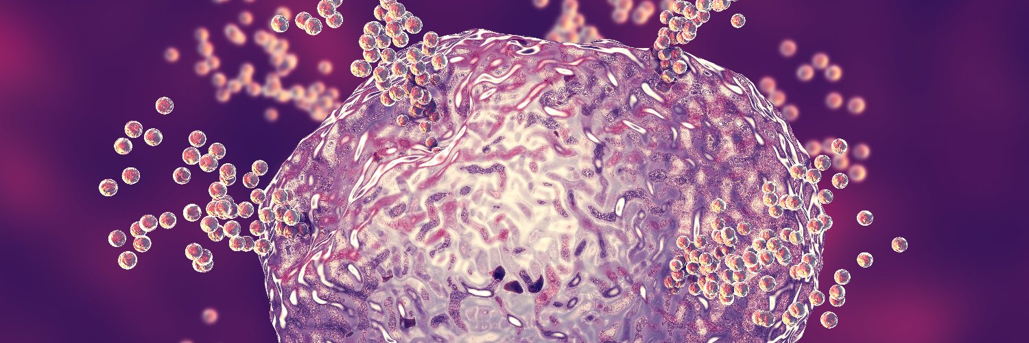 MIMIC-KeY project banner