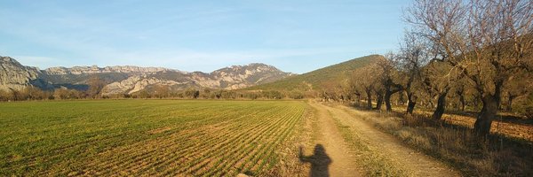 Lfarras Profile Banner