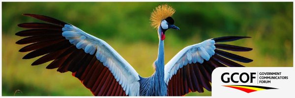 GCOFUG Profile Banner