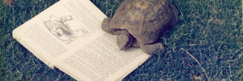 MeganHermansen's profile banner image