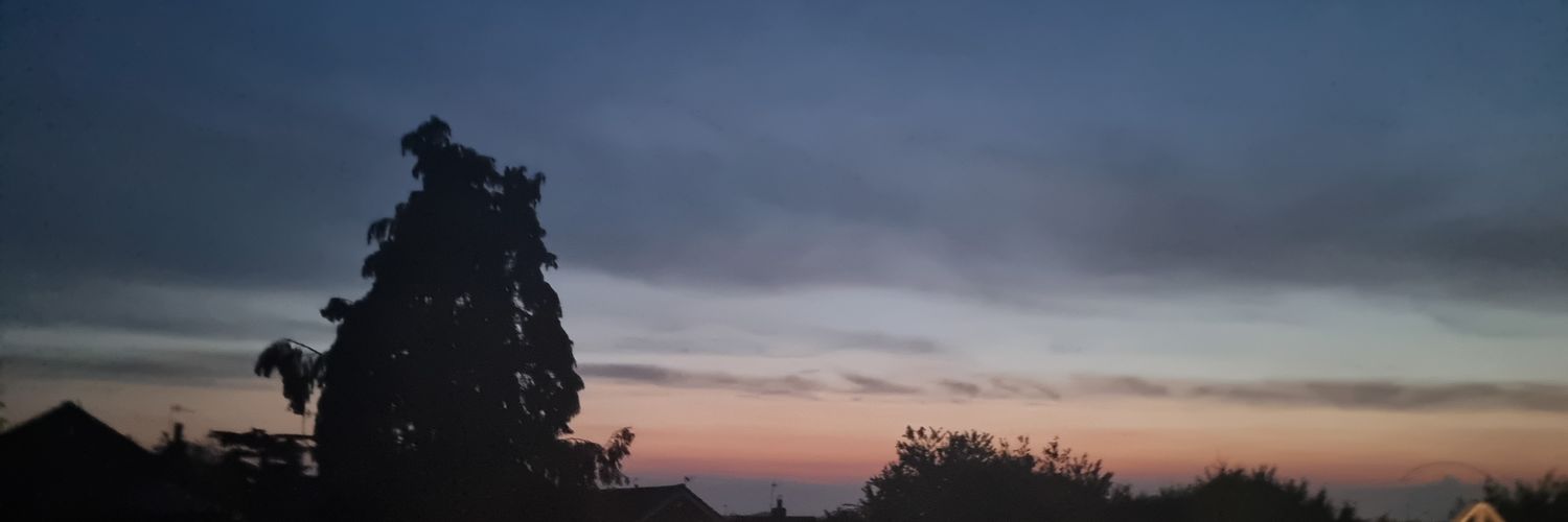 JanineNicole_1's profile banner image