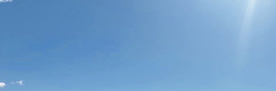 T.🥀 banner