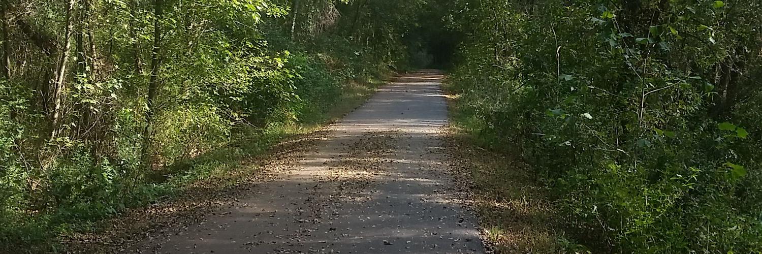 Jasmagerwood's profile banner image