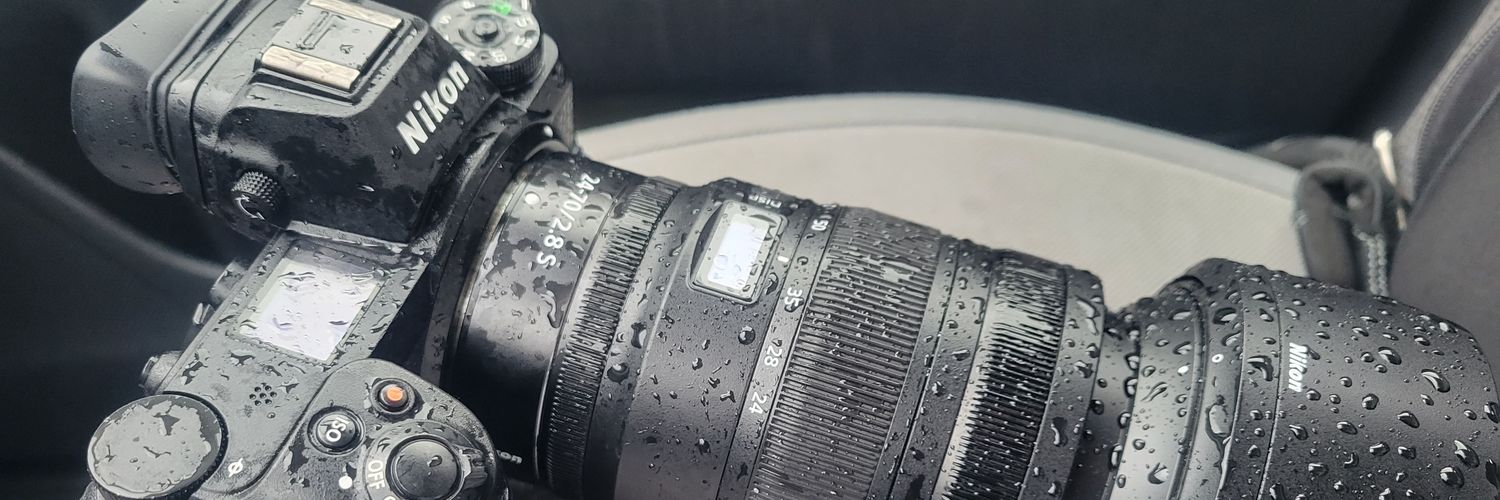 wolfboynyc's profile banner image