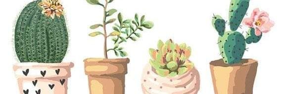 carefreexox's profile banner image