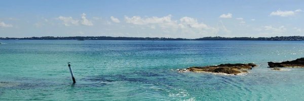 that girl with the afro. 🇧🇲 Profile Banner