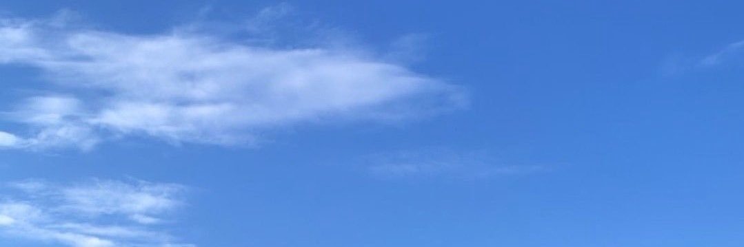 _misswhale's profile banner image