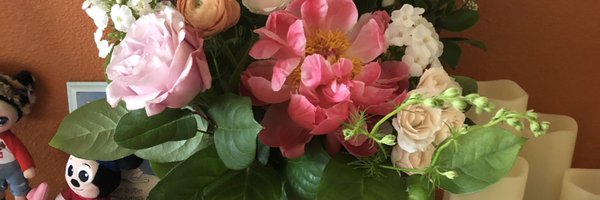 Nimbrennil1 Profile Banner