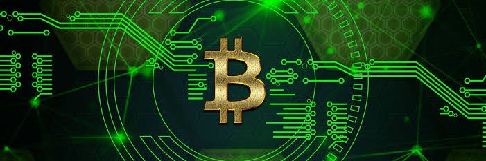 Crypto Kid ❌ banner