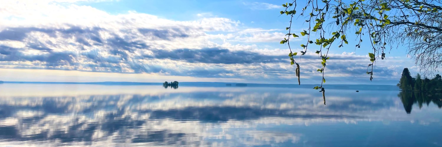 Liikettä banner
