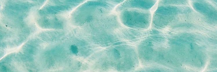 Luiza Fontes banner