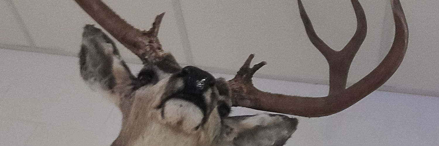 CrouseOutside's profile banner image