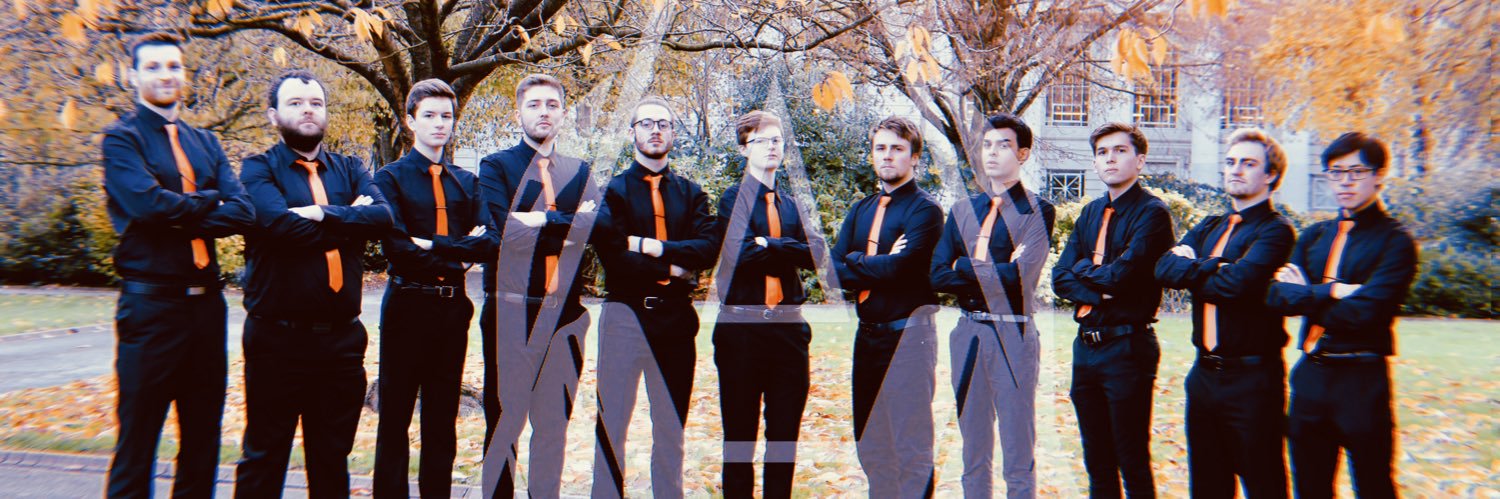 Cardiff Acappellads banner